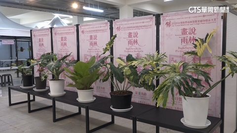 【台語新聞】植物結合藝術　熱帶雨林.觀賞植物大賞明登場
