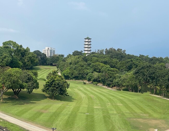 慶祝婦女節！高雄果嶺公園3/8發送草花苗　女性可領2盆、男性1盆 | 華視新聞