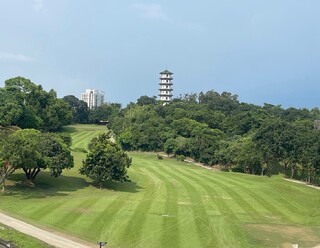 慶祝婦女節！高雄果嶺公園3/8發送草花苗　女性可領2盆、男性1盆