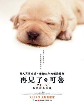 再哭一次！《再見了，可魯》宣布重映　3/27重返大銀幕