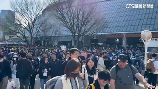 赴日航班突取消！球迷險趕不上應援　航空公司未回應