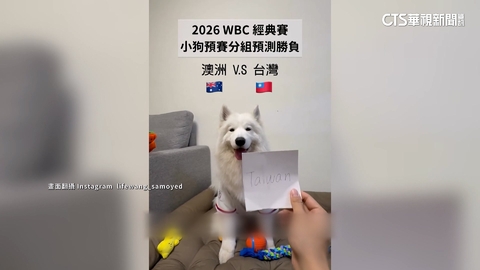 「萊芙」精準預測WBC國家隊4場勝負　網喊加菜