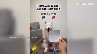 「萊芙」精準預測WBC國家隊4場勝負　網喊加菜