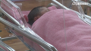 新低！2月新生兒數不到7千人　總人口連26個月負成長