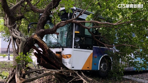 客運疑機械故障　撞內湖三總前路樹10傷送醫