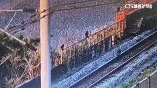 台東多良車站猴群入侵　鐵軌逛大街居民憂