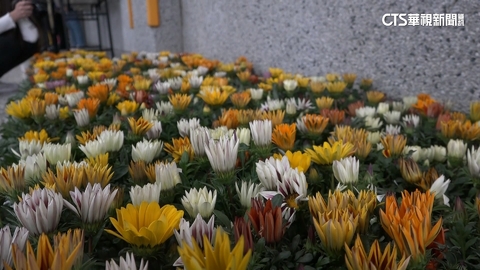 【台語新聞】埔里育樹季走進校園　千株花卉樹苗贈鄉里