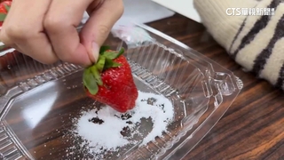 草莓吃法南北對決！　南糖粉vs.北煉乳　吃法掀熱議