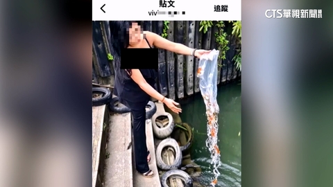 【台語新聞】聽信命理師放生金魚替母祈福　動保處：裁處3萬
