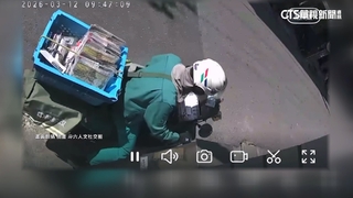 信件長翅膀？　投進郵箱下一秒..竟飛回郵差車上