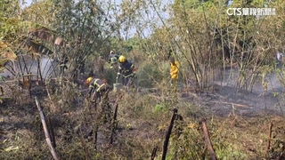 嘉義雜草火警！　1筍農倒地「失去呼吸心跳」　送醫不治