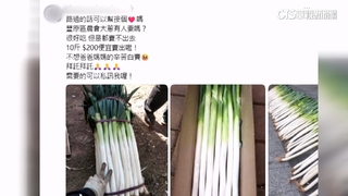 網路冒名賣豐原大蔥6公斤200元　農會急澄清：是詐騙