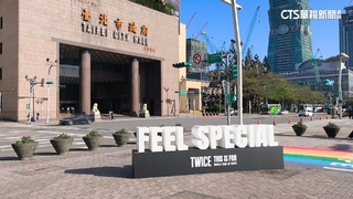 台北變身TWICE「應援城市」！　北捷.貓纜設主題車廂