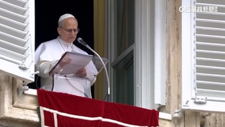 教宗發言批發動戰爭者　假藉宗教之名行黑暗之事