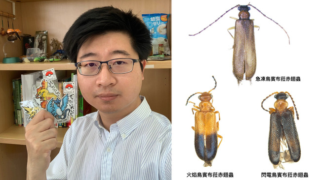 興大學者蕭昀發現新種甲蟲　以寶可夢「三神鳥」命名引發國際關注 | 華視新聞