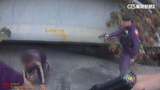 通緝犯窩藏橋下遭警「電擊槍」逼出　再查獲喪屍煙彈