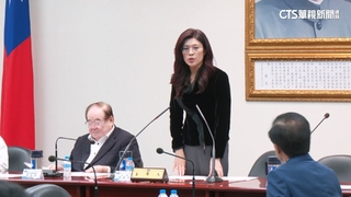 黨內角力！　常委提案譴責蕭敬嚴　鄭麗文：回歸機制