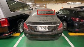 停車積滿厚灰！　一查已閒置桃機3年　車主「掛假牌」到案