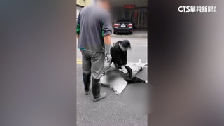 堆高機倒車害撞！26歲女騎士噴飛　路人CPR救命