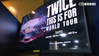 連唱3天！　　TWICE十週年攻大巨蛋　粉絲嗨翻