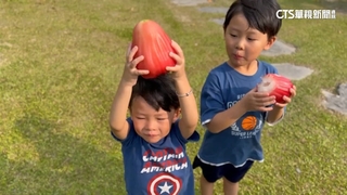 蓮霧重逾1台斤「比童臉還大」　價格破千元考驗接受度