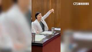 綠質疑「效忠哪國？」　李貞秀比倒讚反擊：中華民國