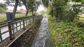 陶藝老師走上環保之路　顧環境逾30年實踐能源自主