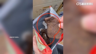伴手禮名店牛肉乾整片發霉！　業者：將聯繫個案