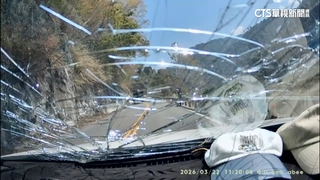 飛來橫禍！谷關邊坡樹倒砸中車　工務段：樹幹被蟲蛀