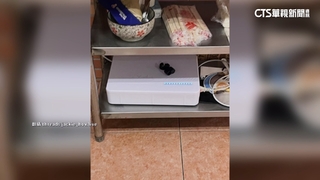 40年小吃店違裝「訊號遮蔽器」　NCC：最高罰百萬　業者撤除