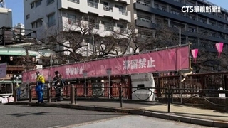 賞櫻塞爆！　東京目黑川掛「滯留禁止」標語　達人：先別去