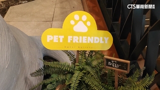 台中榮登「毛孩之都」　中部寵物友善飯店僅3間揭因
