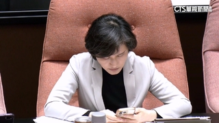 綠北市人選將出爐！　傳「鄭麗君.沈伯洋.吳怡農」進最終名單