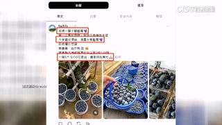 又是這個地址！　賣過蓮霧.鳳梨.紅薯　這回賣「滯銷藍莓」