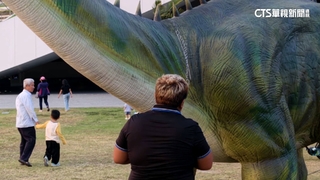 恐龍展將登場！傳雷龍脖子斷掉　廠商：拆解組裝