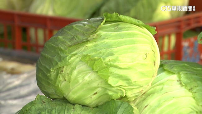 韓網友用「高麗菜煮蛋」讚爆　網笑：高麗菜必須得到2026諾貝爾和平獎 | 華視新聞