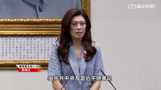 鄭麗文4月訪中將帶3副主席　6月赴美行程「尚未定案」