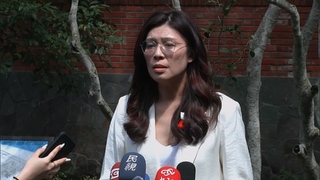 喊「全世界都奉行一中政策」引議　鄭麗文：民進黨應主動下架台獨黨綱