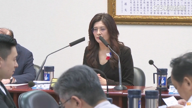 國民黨拍板「母雞可幫白小雞」站台　議員憂瓜分票源