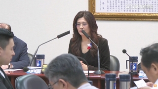 國民黨拍板「母雞可幫白小雞」站台　議員憂瓜分票源