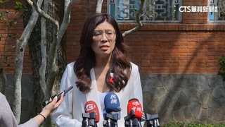 傳4/10總預算將付委？　賴士葆：有藍委提議　綠：樂見