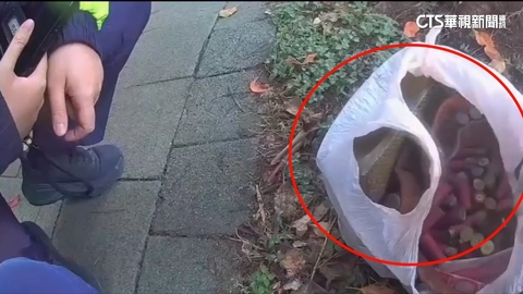 民生社區驚見114發霰彈？　追查竟是清運業者丟棄