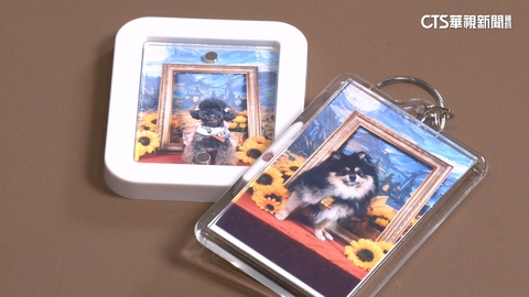 賽跑.擲筊.當模特自己來　寵物展大搶「寵萌擬人財」