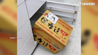 好鬧！網購以「二手紙箱」出貨　賣家爆：抽成重省成本