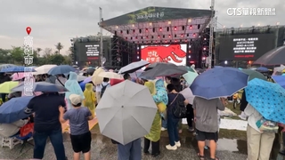 雷雨狂炸！高雄衛武營恐龍表演取消　遊客失望