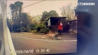 惡夫收押！　妻遭酒駕夫輾過亡　死前為他說話「稱跌倒」