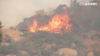 美南加州森林大火　17平方公里植被遭燒毀