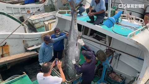 歷經兩船連失格... 67歲老船長捕獲「屏東第一鮪」