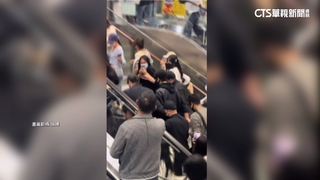 張凌赫暴紅！　「極端粉絲」癱車站還擋車　工作室喊告