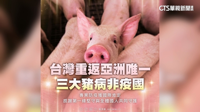 台灣重返非洲豬瘟非疫區　總統：讓台灣豬世界飄香